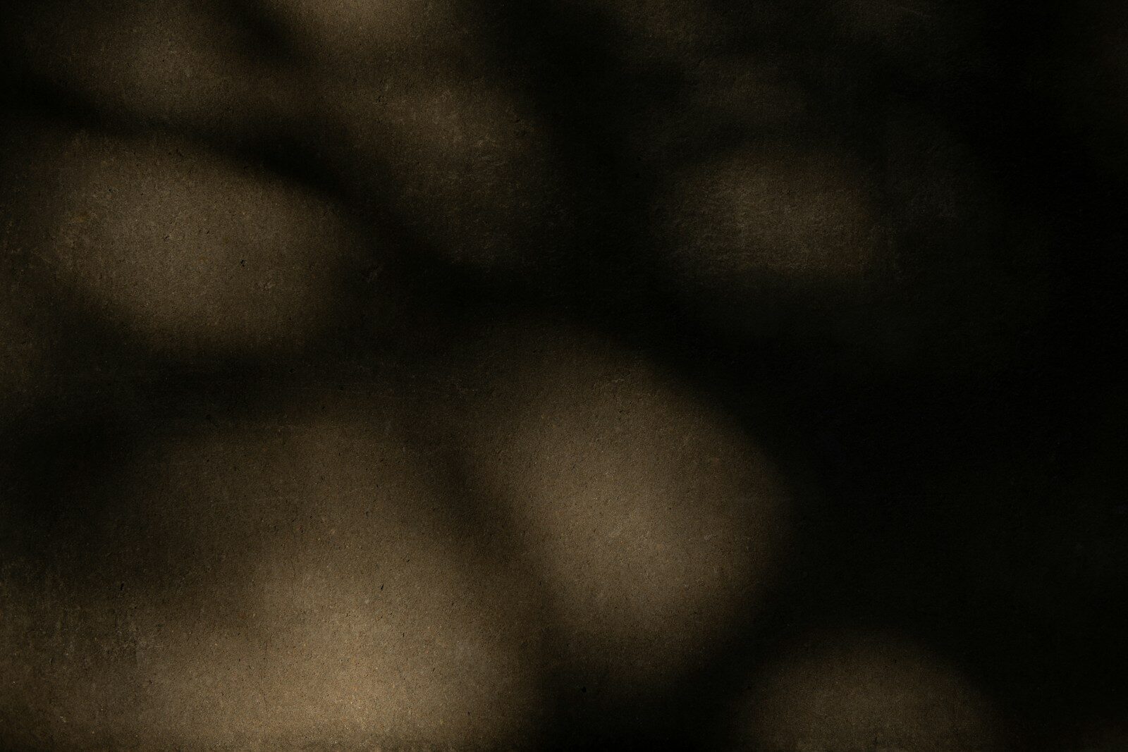 Mobile Home Resident Rights